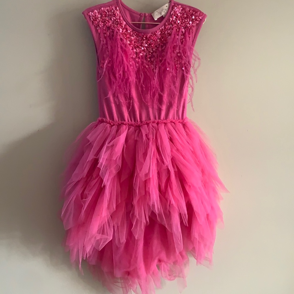 Tutu du Monde pink beaded feather girls party dress sz 4-5